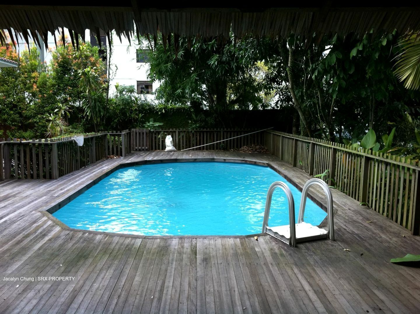 Leedon Park (D10), Detached #366644371